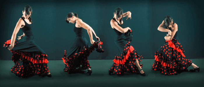 FLAMENCA WEB.png